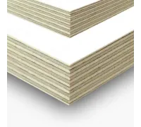 Plywood grade FSF (increased water resistance), laminated, White (white color), mesh/smooth, 6.5x1250x2500 mm