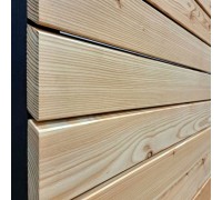 Lärchenbretter 20x125x3000 mm - Preis vom Hersteller.