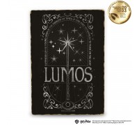 Harry Potter Lumos A2 Holzposter