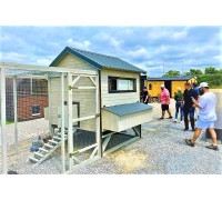 Kurnik for 10-20 chickens, guinea fowl from the manufacturer, any project
