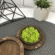 Деревянная свадебная шкатулка для колец.