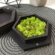 Шкатулка для обручальных колец из дерева.