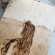 Альбом в деревянной обложке с гравировкой портрета.
