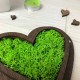 Свадебная коробочка для колец из дерева с декоративным мохом.