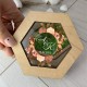 Стильная свадебная коробочка для колец из дерева с акрилом.