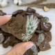 Оригинальные деревянные бутоньерки для гостей в темно-коричневом цвете.