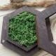 Деревянная коробочка для обручальных колец с иннициалами на акриловой крышке.