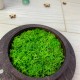 Коробка на роспись для обручальных колец, деревянная коробочка с именами для колец, шкатулка из дерева со мхом.