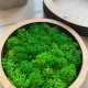 Коробка для колец со мхом, свадебная подставка под обручальные кольца, именная шкатулка из дерева на роспись