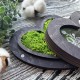 Свадебная коробочка для кольца с именами на крышке, деревянная шкатулка со мхом.