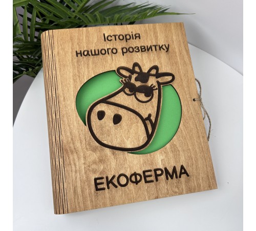 Корпоративный альбом, альбом развития компании, альбом для фото с логотипом, оригинальный подарок руководителю Корпоративный альбом, альбом развития компании, альбом для фото с логотипом, оригинальный подарок руководителю