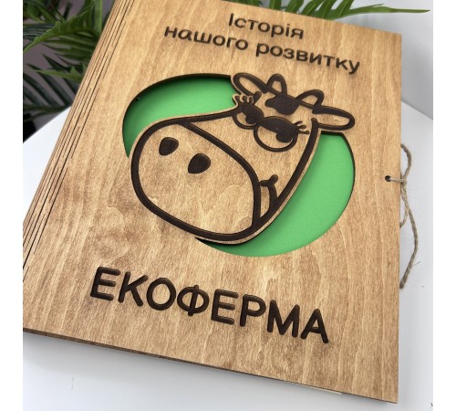 Корпоративный альбом, альбом развития компании, альбом для фото с логотипом, оригинальный подарок руководителю Корпоративный альбом, альбом развития компании, альбом для фото с логотипом, оригинальный подарок руководителю