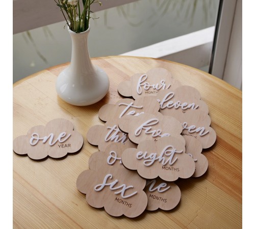 A set of plates for monthly newborn photos, 12 cards for a photo session of a child from 1 month to a year A set of plates for monthly newborn photos, 12 cards for a photo session of a child from 1 month to a year