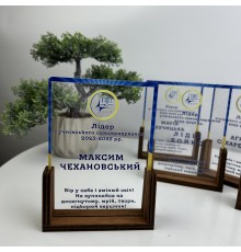 Детская именная награда из дерева в школу или детский сад.