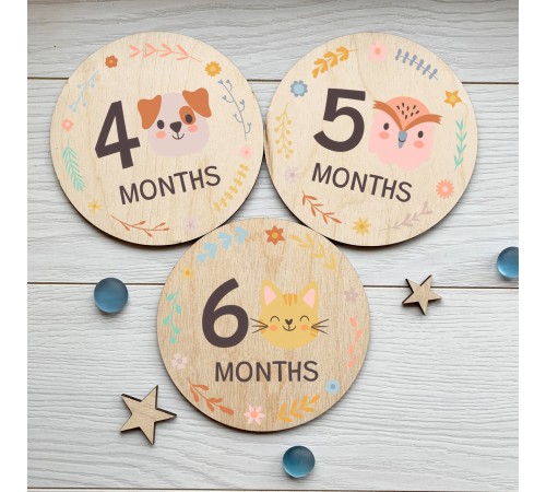 A set of 12 cards for a photo session of the first year of a child's life, children's plates by months in the photo A set of 12 cards for a photo session of the first year of a child's life, children's plates by months in the photo