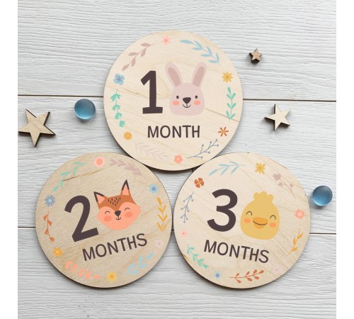 A set of 12 cards for a photo session of the first year of a child's life, children's plates by months in the photo A set of 12 cards for a photo session of the first year of a child's life, children's plates by months in the photo
