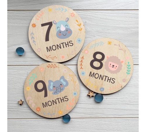 A set of 12 cards for a photo session of the first year of a child's life, children's plates by months in the photo A set of 12 cards for a photo session of the first year of a child's life, children's plates by months in the photo