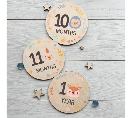A set of 12 cards for a photo session of the first year of a child's life, children's plates by months in the photo A set of 12 cards for a photo session of the first year of a child's life, children's plates by months in the photo