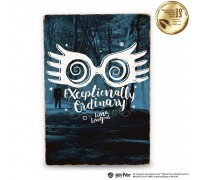 Harry Potter Exceptionally Ordinary™ Wooden Poster A4