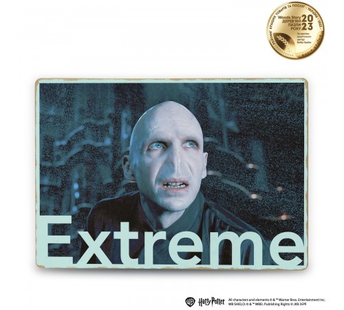 Деревянный постер Гарри Поттер Лорд Волдеморт (Extreme) А3 Деревянный постер Гарри Поттер Лорд Волдеморт (Extreme) А3
