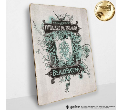 Дерев'яний постер Гаррі Поттер The Triwizard Tournament™ А3