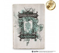 Деревянный постер Гарри Поттер The Triwizard Tournament™ А4