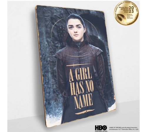 Дерев'яний постер Гра Престолів Arya Stark™ А4