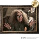 Фигурный деревянный пазл Гарри Поттер Сивилла Трелони XXL
