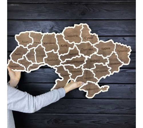 Деревянная декоративная настенная карта Украины Деревянная декоративная настенная карта Украины