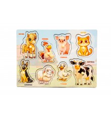 Pet sorter insert