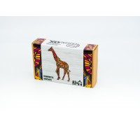 Gefleckte Giraffe