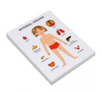 Educational puzzles "Internal Organs: Girl"