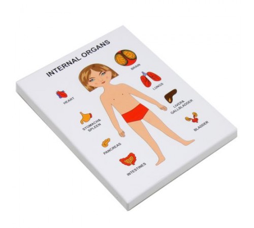 Пазли навчальні "Internal Organs: Дівчинка" Пазли навчальні "Internal Organs: Дівчинка"