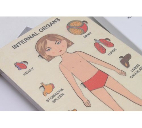 Пазли навчальні "Internal Organs: Дівчинка" Пазли навчальні "Internal Organs: Дівчинка"