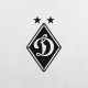 Деревянные панно эмблема FC Dynamo Kyiv ФК Динамо Киев