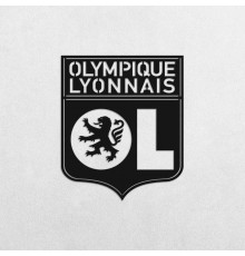 Деревянные панно эмблема Olympique Lyonnais Олимпик Лион