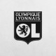 Деревянные панно эмблема Olympique Lyonnais Олимпик Лион