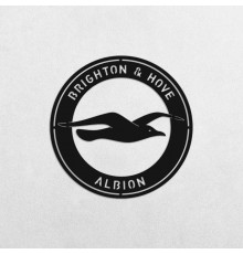 Деревянные панно эмблема Brighton & Hove Albion FC Брайтон